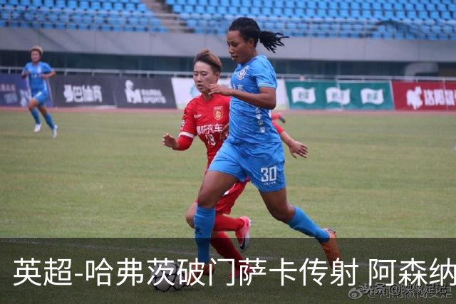 英超-哈弗茨破门萨卡传射 阿森纳2-0狼队